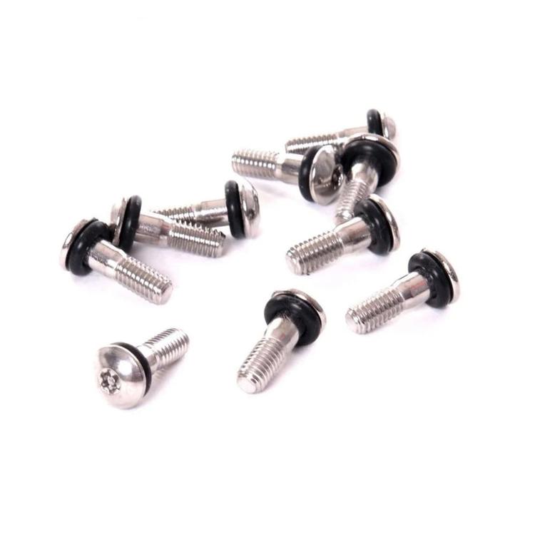 Stainless steel screws for locking ring